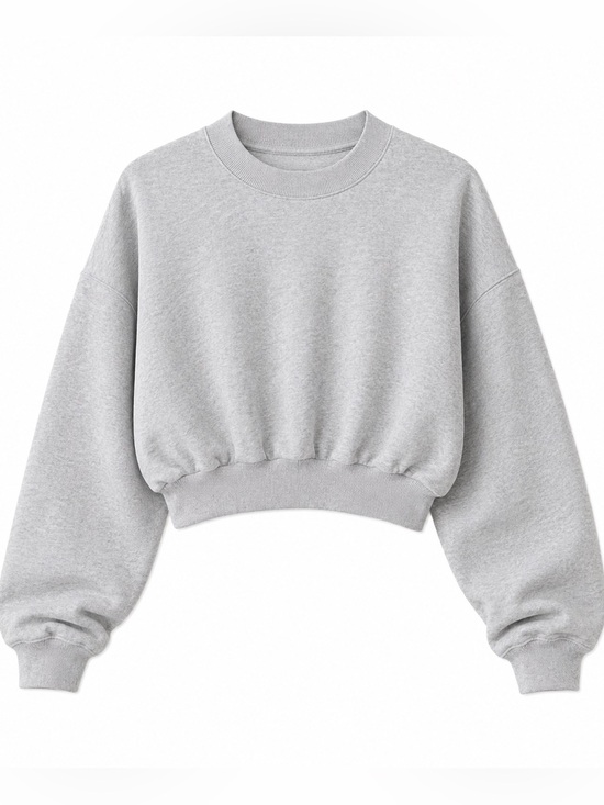 Aritzia Other - Aritzia Sweatfleece Mega Fit Cropped Crewneck